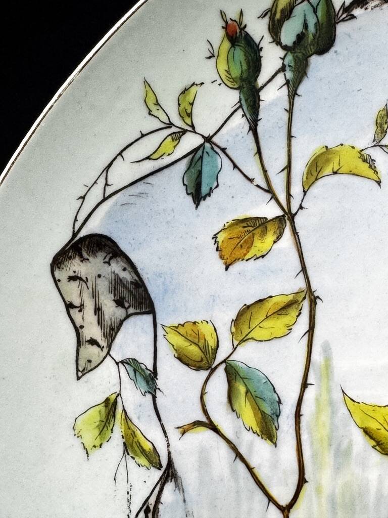 Decorative dish in Limoges porcelain, hand-painted decoration – late 19th century