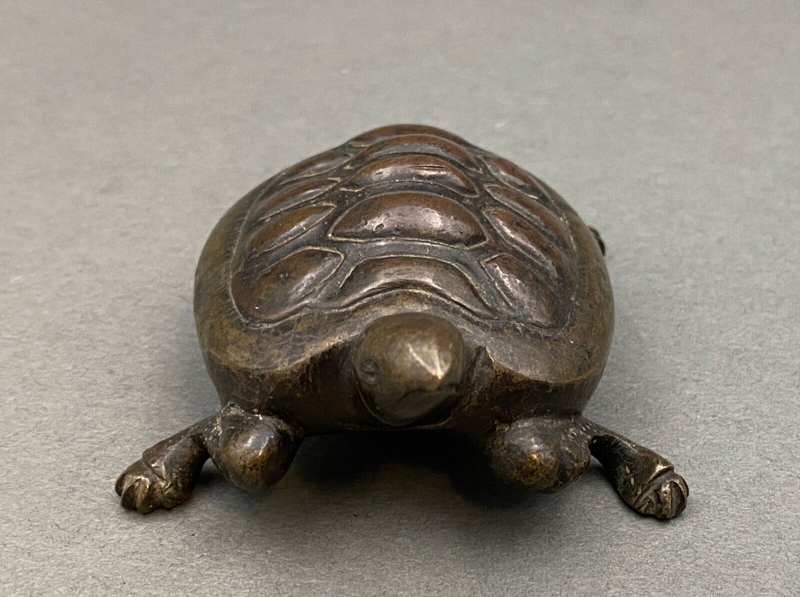 Bronze turtle XIXth Chocolate patina Fine carving