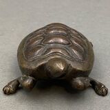 Bronze turtle XIXth Chocolate patina Fine carving