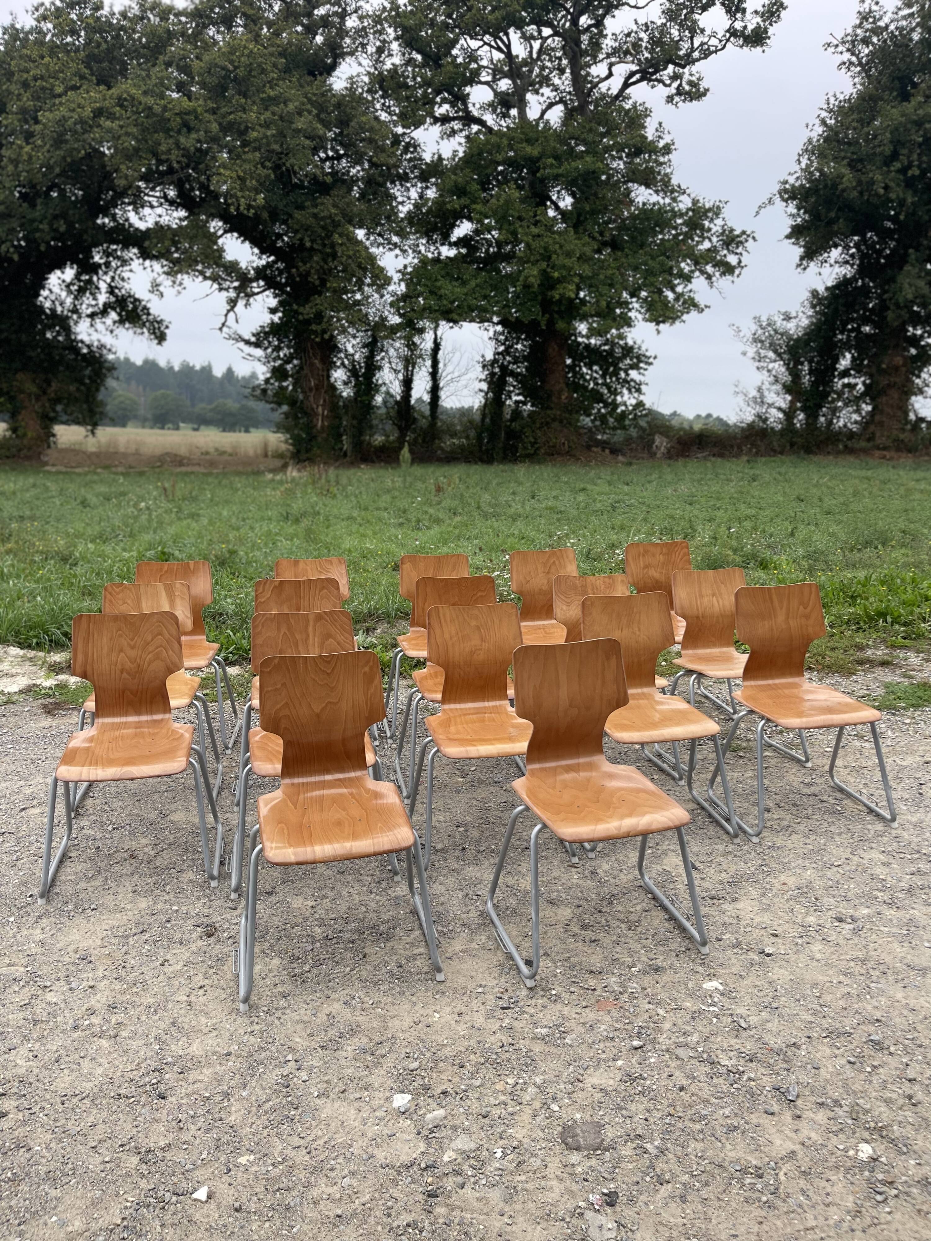 Chairs pagholz base sled light wood