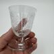 Set of 5 white wine glasses - Baccarat Crystal – Argentina model, 1940
