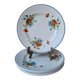 Salins poppy 5 flat plates