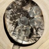 Very large empty pocket or dish in petrified wood