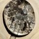 Very large empty pocket or dish in petrified wood