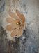 Applique murale fleur composée de pétales en rotin et lin nude