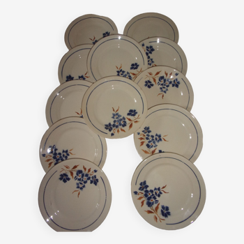 Set of 12 plates Badonviller motif Tunis