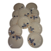 Lot de 12 assiettes Badonviller motif Tunis