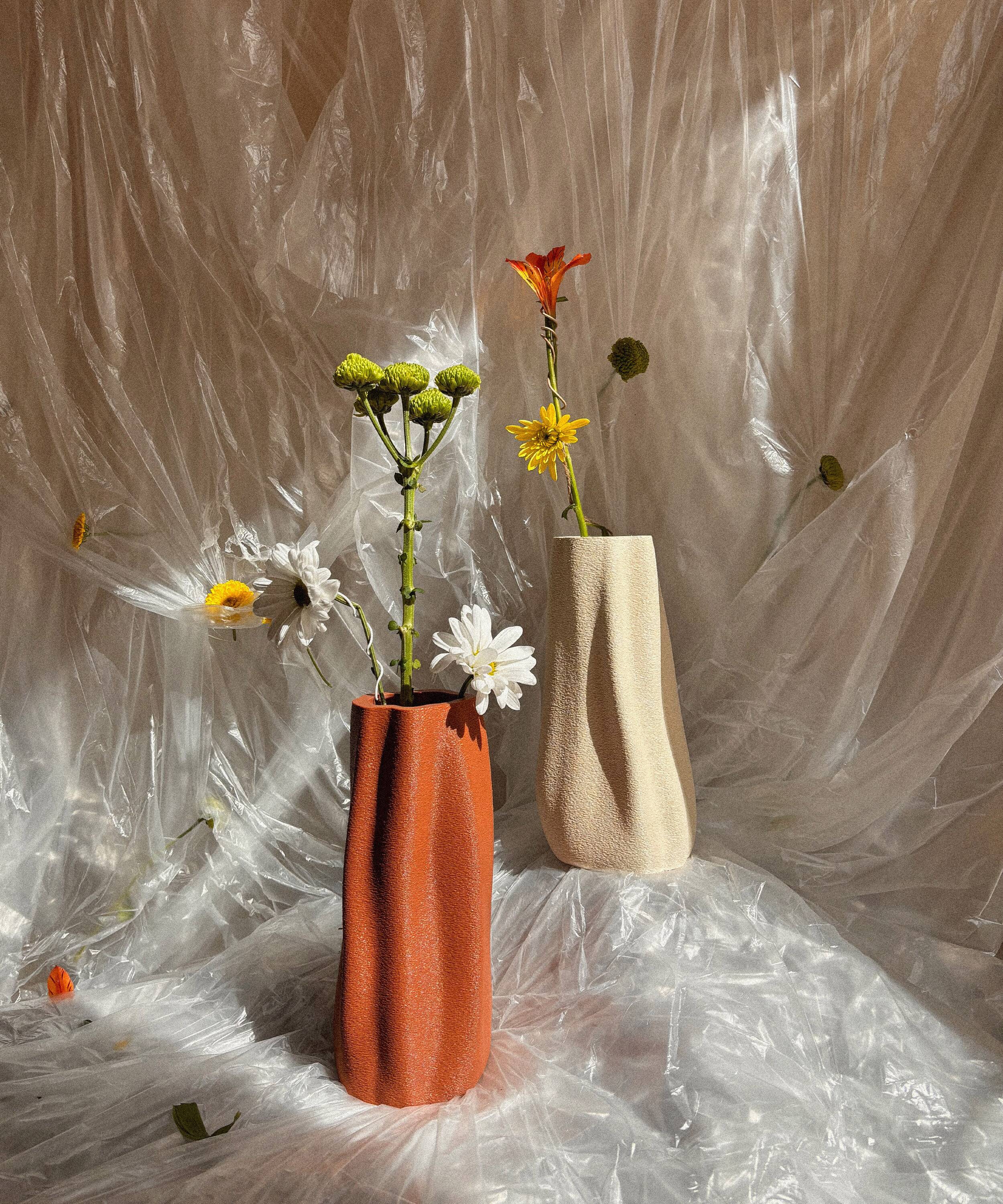Grand vase biologique