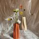 Grand vase biologique