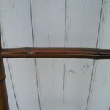 Decorative scale bamboo