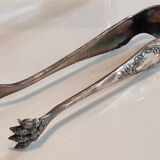 Sugar and its pliers