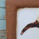 Bird Butterfly Table