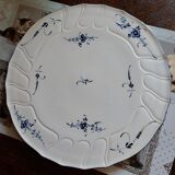 Dish