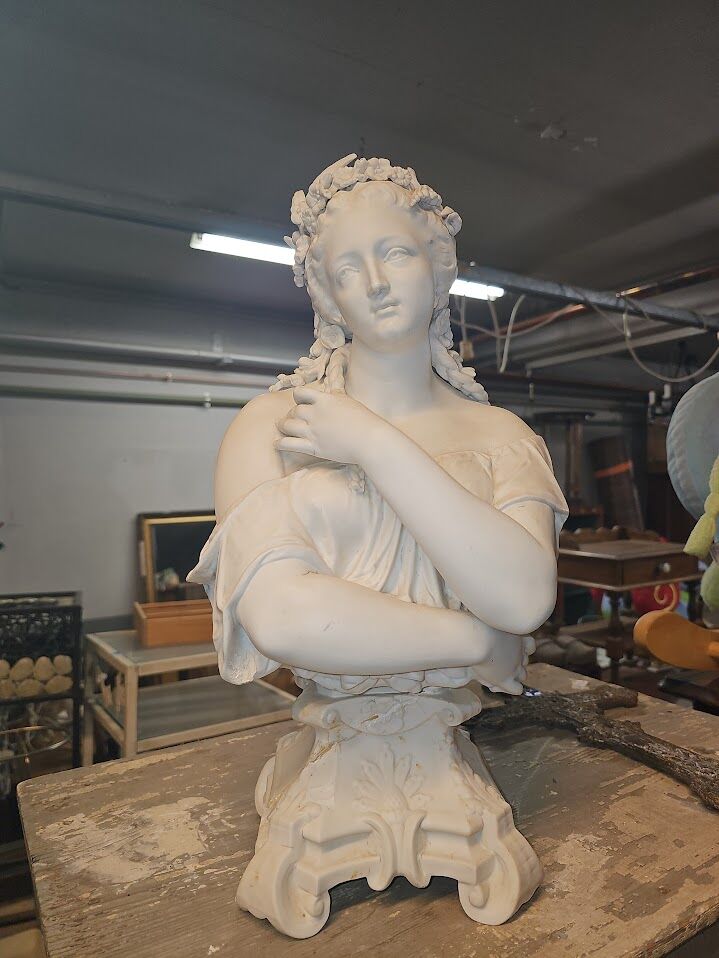 WOMEN'S BUST