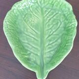 Cabbage leaf cup