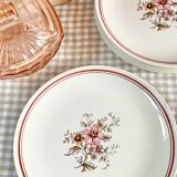 Dessert plates