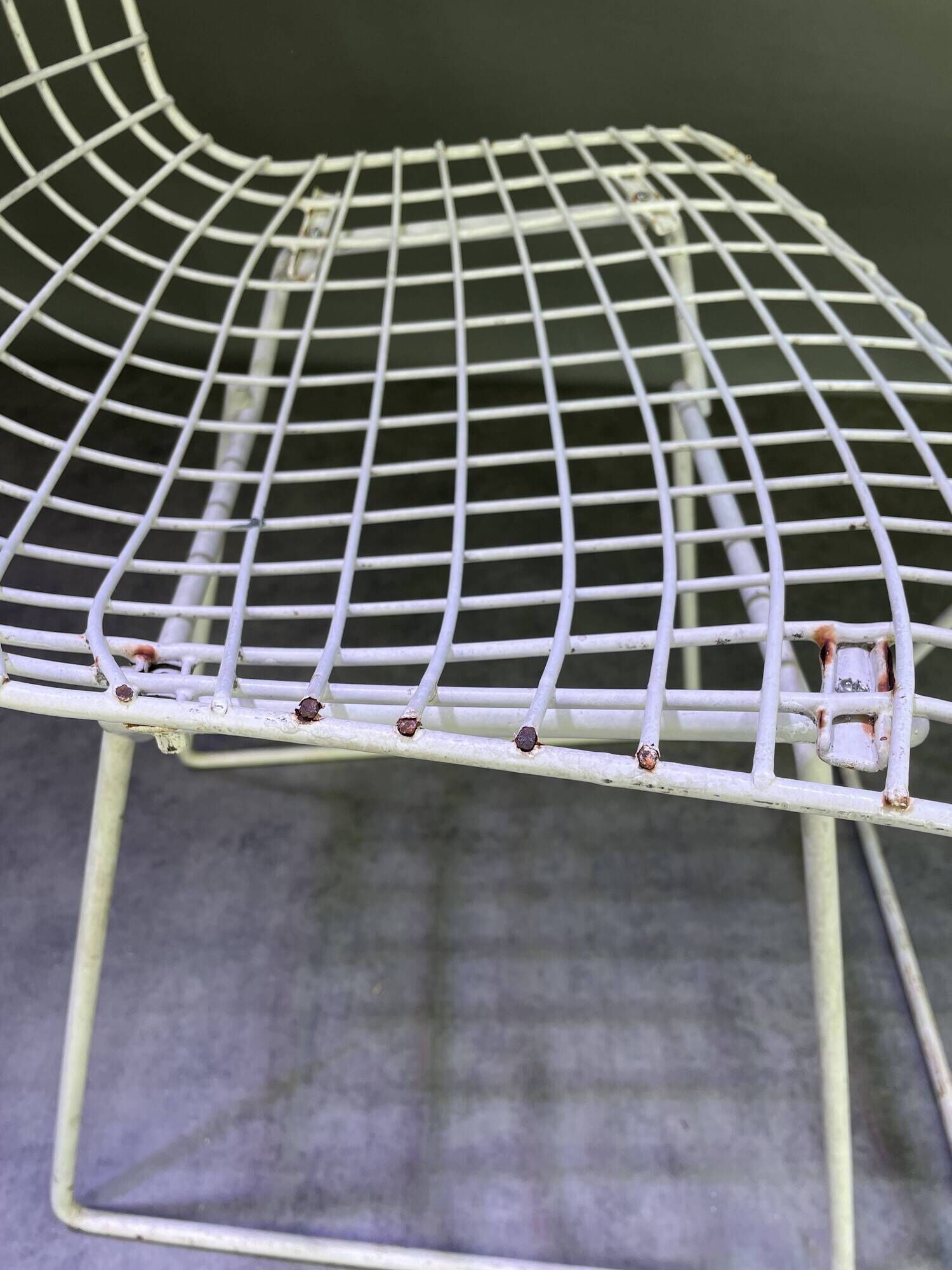 Pair of white lacquered Bertoia chairs
