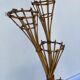 stand de plantes de bambou et de rotin