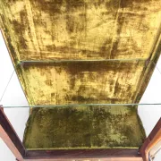 Elegant antique display cabinet, dating to 19th century