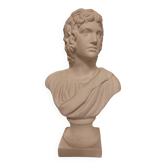 Buste d'homme 27 cm