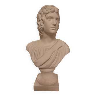Male bust 27 cm