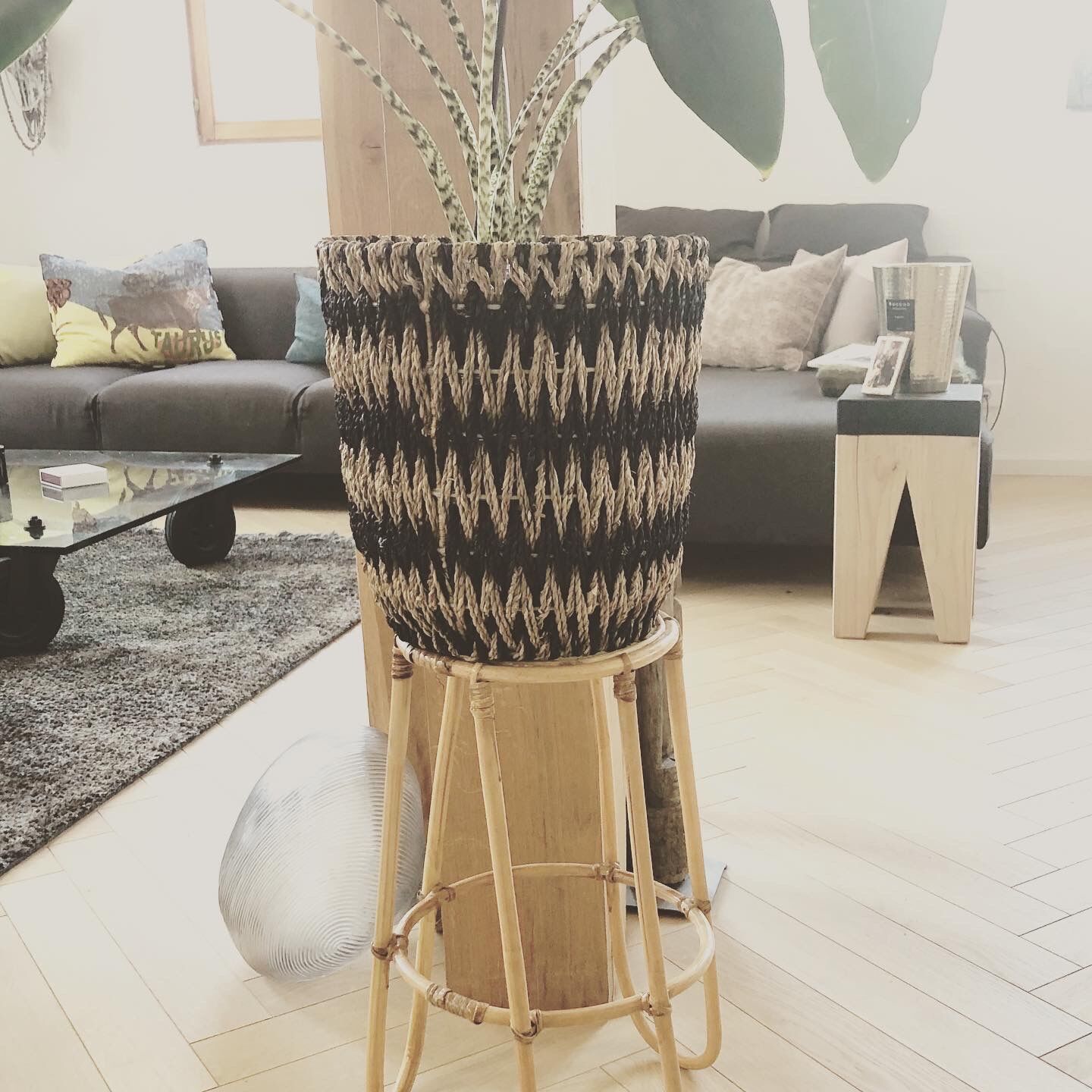 Sellette wears rattan plants