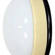 Industrial Bakelite Wall or Ceiling Light with Milk Glass, 1950s