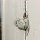 Old wardrobe, aged white patina