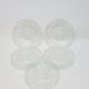 5 Small Transparent Frosted Glass Plates Vintage Floral Decor Kig Indo