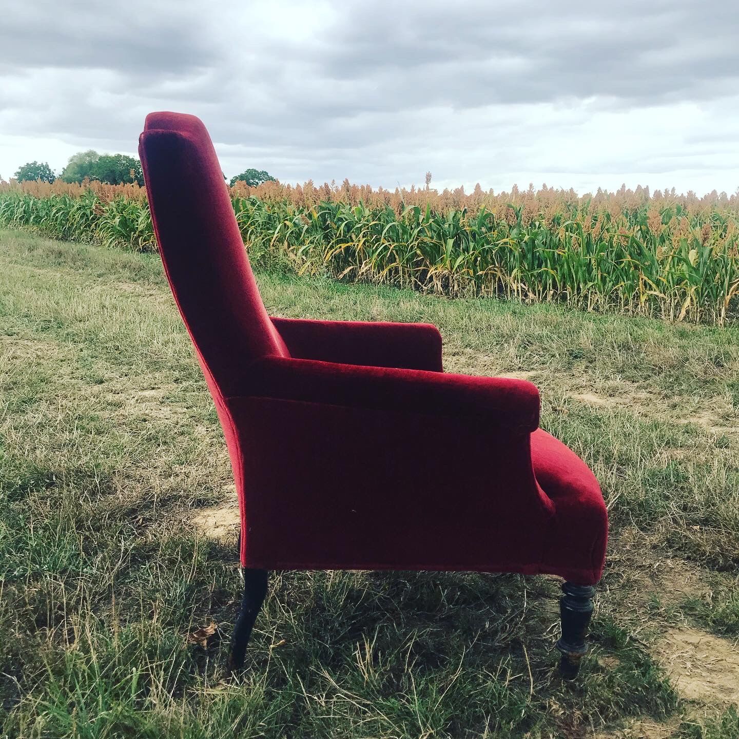 Bordeaux velvet english armchair