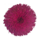 Juju hat fuchsia
