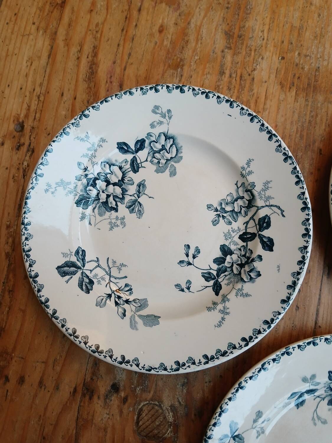 Set of 6 Terre de Fer plates, Acacia model