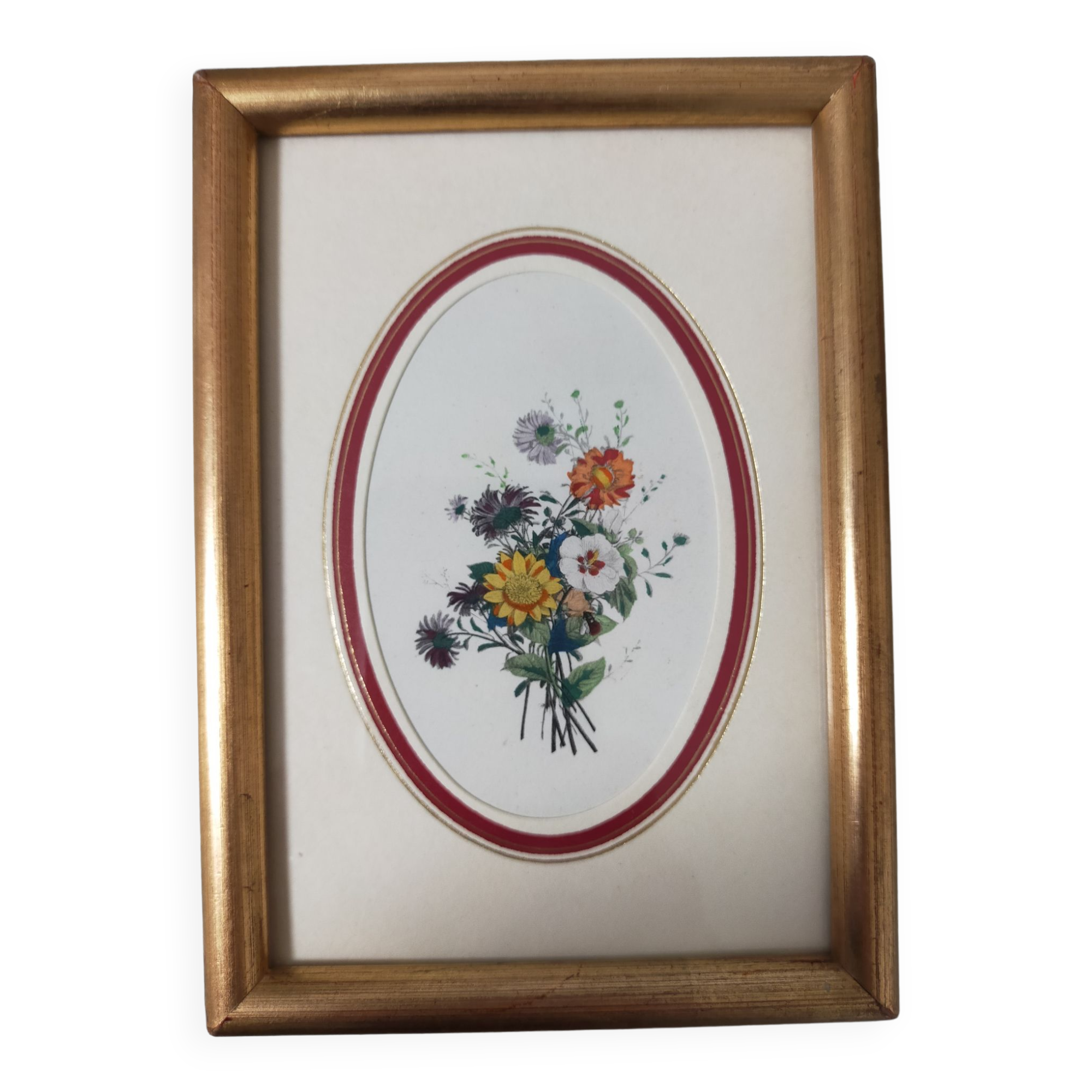 Framed antique botanical engraving with gilded wall frame