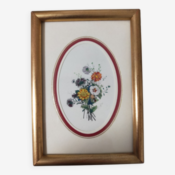 Framed antique botanical engraving with gilded wall frame