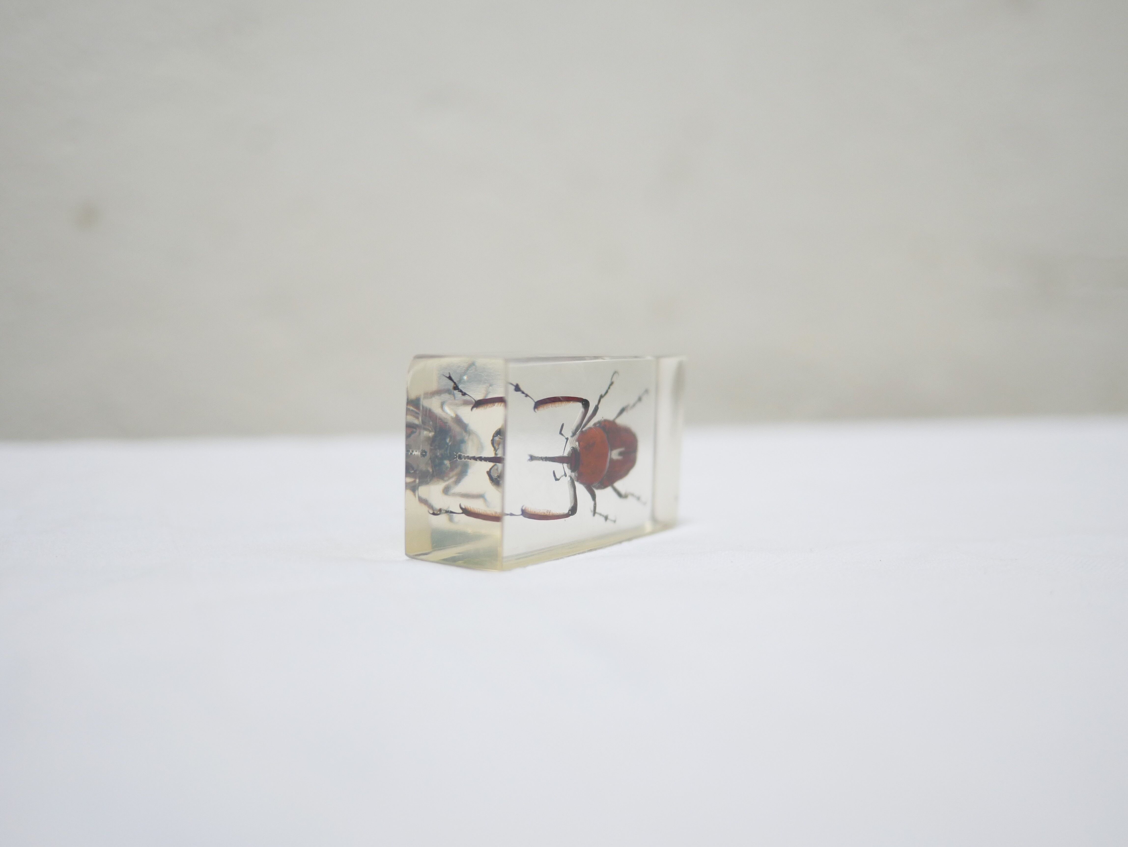 Vintage resin insect
