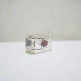 Vintage resin insect