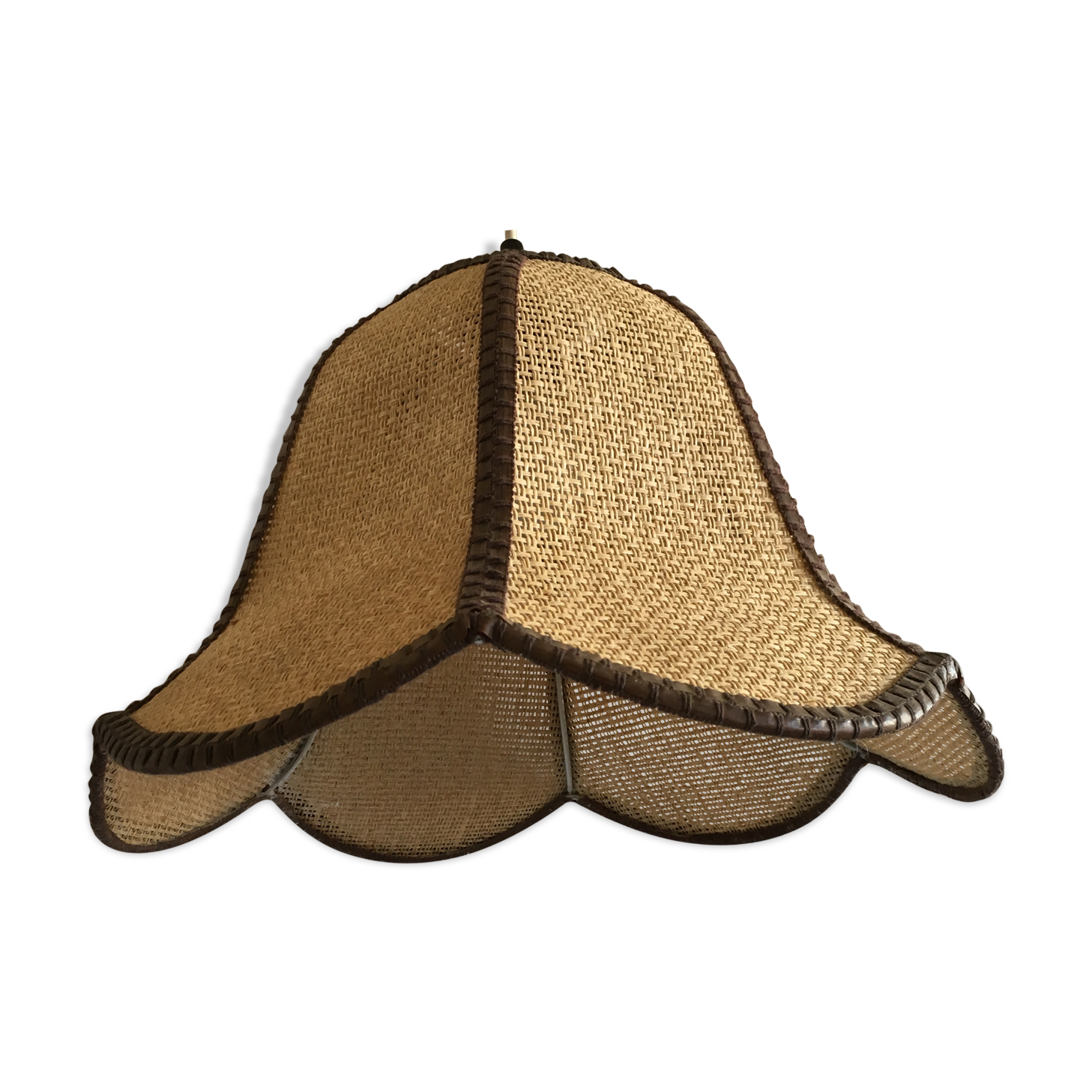 Hanging in wicker and rope-shaped petals