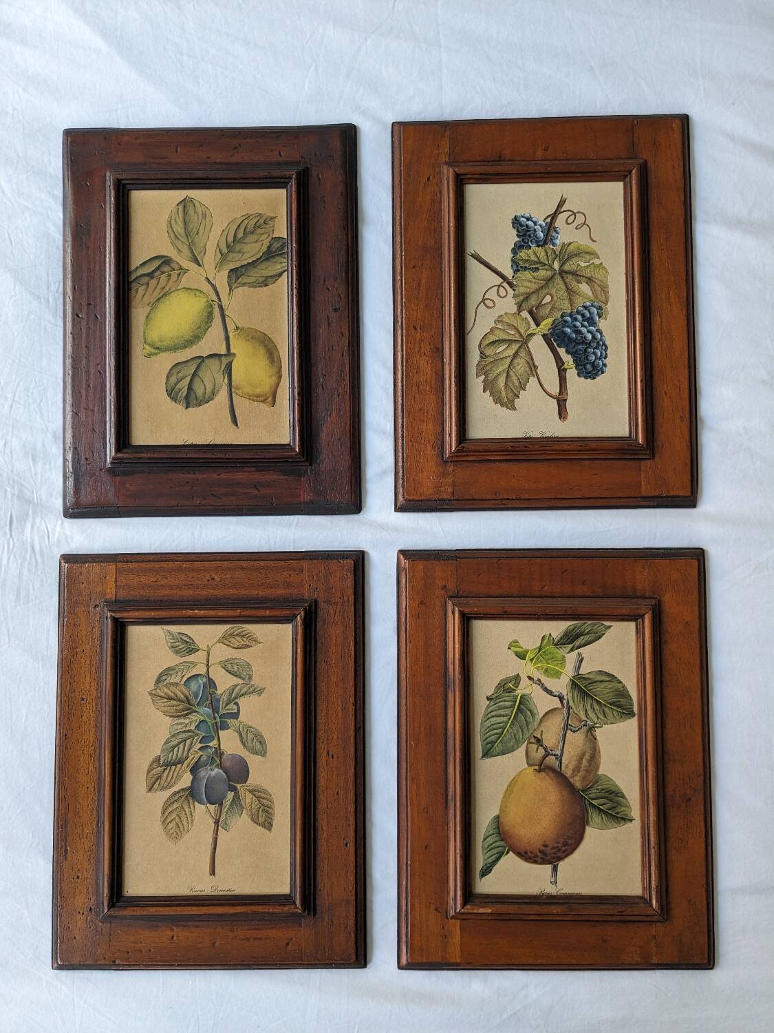 4 fruit paintings