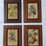 4 fruit paintings