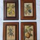 4 fruit paintings