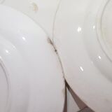 7 flat plates in Longwy rambouillet style earthenware, iron earth.