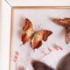Cadre en bois doré avec papillons naturalisés