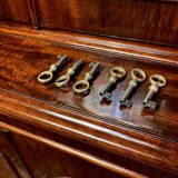 Mahogany bookcase with projection