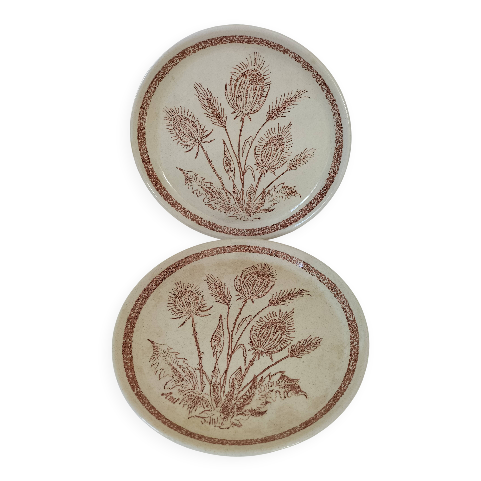 Pair of vintage plates with rusty brown thistle decoration – 1950s
