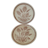 Pair of vintage plates with rusty brown thistle decoration – 1950s