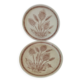 Pair of vintage plates with rusty brown thistle decoration – 1950s