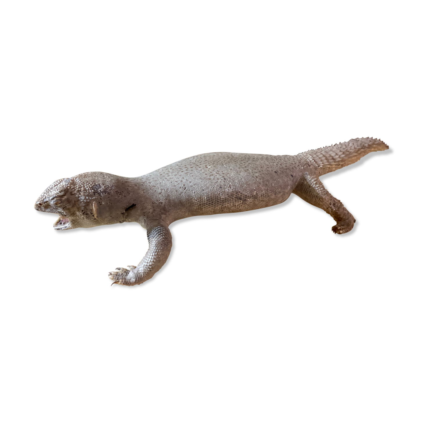 Ancient naturalized lizard