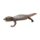 Ancient naturalized lizard
