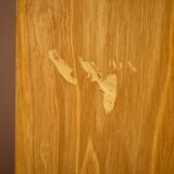 Vintage Wardrobe TATRA, 1960s, Czechoslovakia