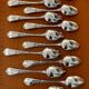 Art nouveau decor of iris 25 pieces
